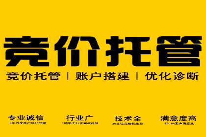 某品牌通过SEM代运营托管公司实现业绩大增